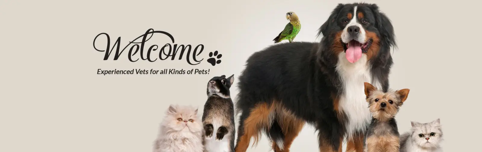 Welcome - Experienced Vets for all Kinds of Pets!