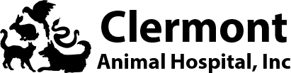Clermont Animal Hospital Home