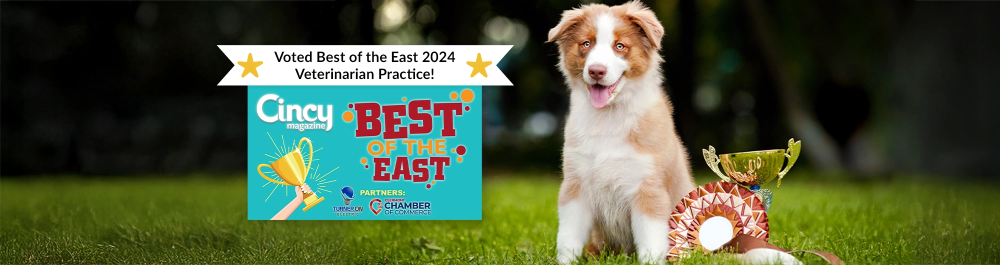 Voted Best of the East 2024 Veterinarian Practice