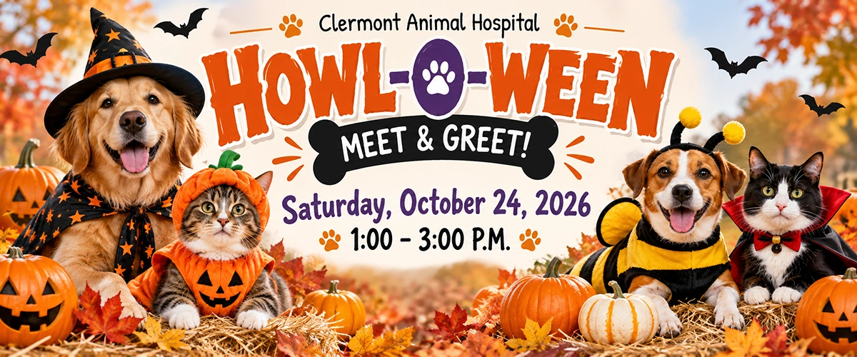 Join us at Clermont Animal Hospital for our Howl-O-Ween Meet & Greet Event on October 24, 2026 from 1pm to 3pm